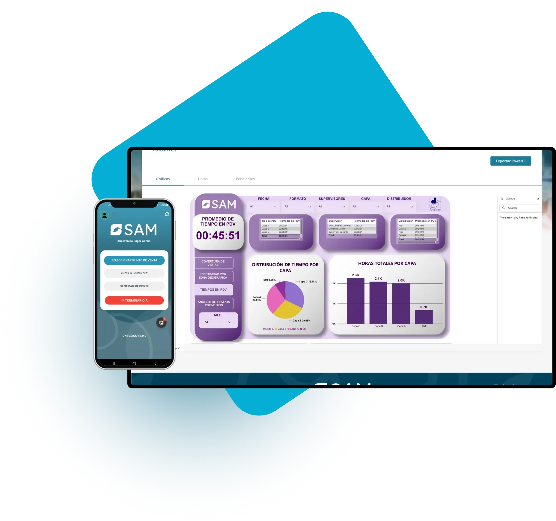 Imagen del software en uso